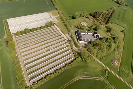 VIDEO: Inside a Mink Farm in 360°