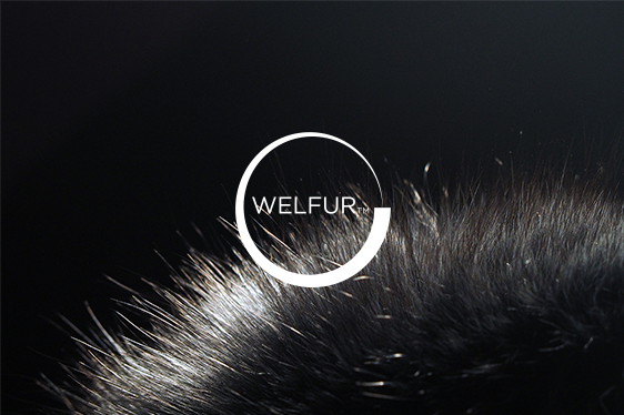 LVMH, Fendi open the door to sustainable, plastic-free lab-grown fur